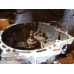 МКПП механічна коробка передач MAZDA 626. МКПП механічна коробка передач MAZDA 626.